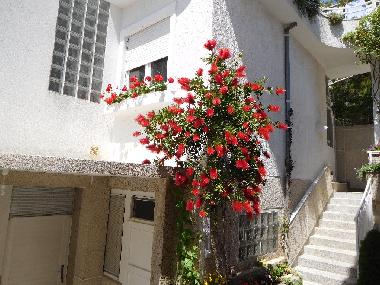 Holiday Apartment in Vodice (Sibensko-Kninska) or holiday homes and vacation rentals