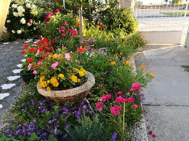 Holiday Apartment in Vodice (Sibensko-Kninska) or holiday homes and vacation rentals