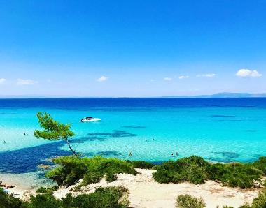 Holiday House in Psakoudia (Chalkidiki) or holiday homes and vacation rentals