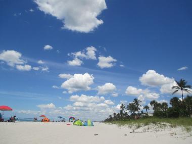 Holiday House in Naples (Florida) or holiday homes and vacation rentals