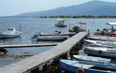 Holiday House in Psakoudia (Chalkidiki) or holiday homes and vacation rentals