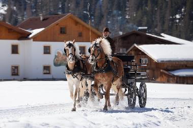 Holiday Apartment in Umhausen  (Tiroler Oberland) or holiday homes and vacation rentals