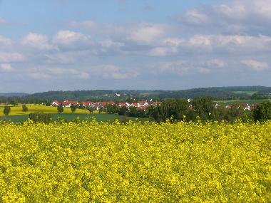 Holiday Apartment in Rot am See (Hohenlohe) or holiday homes and vacation rentals