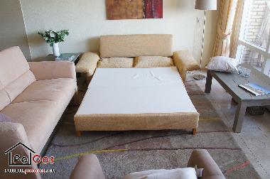 Holiday Apartment in Noordwijk aan Zee  (Zuid-Holland) or holiday homes and vacation rentals