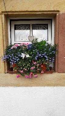 Holiday Apartment in Drrenbach (Pfalz) or holiday homes and vacation rentals