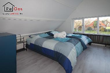 Holiday House in Noordwijk (Zuid-Holland) or holiday homes and vacation rentals