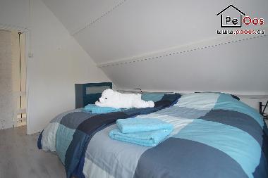 Holiday House in Noordwijk (Zuid-Holland) or holiday homes and vacation rentals