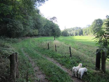 Holiday Apartment in Teuchern OT GRBITZ (Halle / Saale-Unstrut) or holiday homes and vacation rentals