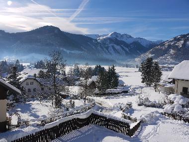 View from the grounds