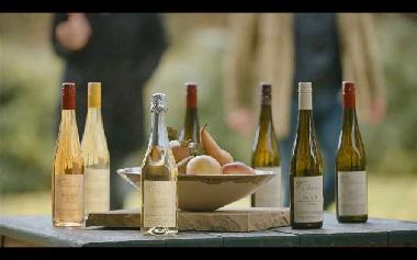 our organic wine and fruit