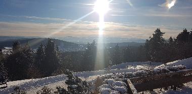 Holiday Apartment in Brotterode-Trusetal (Thuringian forest) or holiday homes and vacation rentals