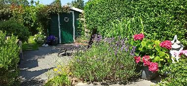 Holiday House in Nieuwvliet-Bad (Zeeland) or holiday homes and vacation rentals