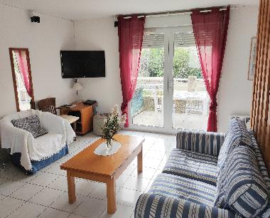 Living room and terrace