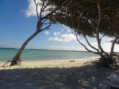 Holiday House in Noord (Aruba) or holiday homes and vacation rentals