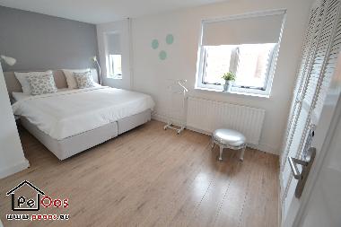Holiday House in Katwijk aan Zee (Zuid-Holland) or holiday homes and vacation rentals
