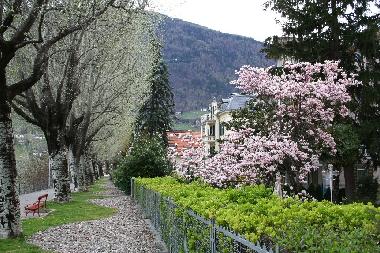 Hotel in Meran (Bolzano-Bozen) or holiday homes and vacation rentals