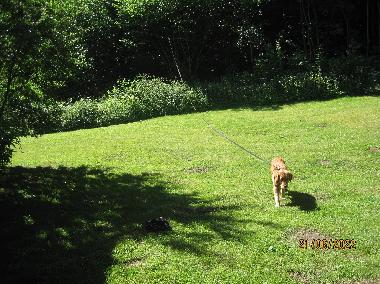 Holiday Apartment in Scharbeutz  - Klingberg (Holsteinische Schweiz) or holiday homes and vacation rentals