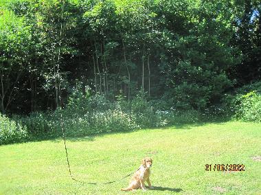 Holiday Apartment in Scharbeutz-Klingberg (Holsteinische Schweiz) or holiday homes and vacation rentals