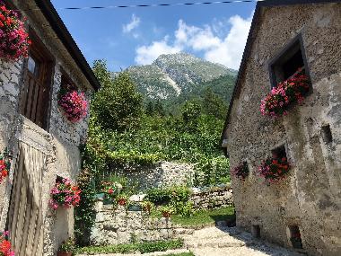 Holiday House in Ponte nelle Alpi/Belluno (Belluno) or holiday homes and vacation rentals