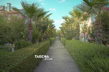 Holiday House in Antalya/Belek/Bogazkent (Antalya) or holiday homes and vacation rentals