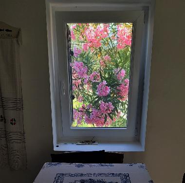 Holiday House in Mali Lukoran (Zadarska) or holiday homes and vacation rentals