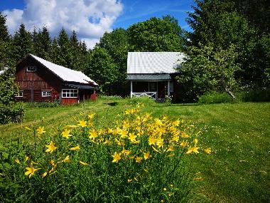 Holiday House in Mariannelund (Smaland) or holiday homes and vacation rentals