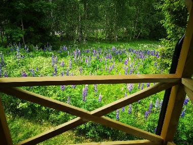 Holiday House in Mariannelund (Smaland) or holiday homes and vacation rentals