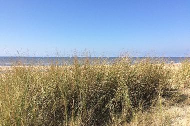 Holiday Apartment in Noordwijk aan Zee  (Zuid-Holland) or holiday homes and vacation rentals