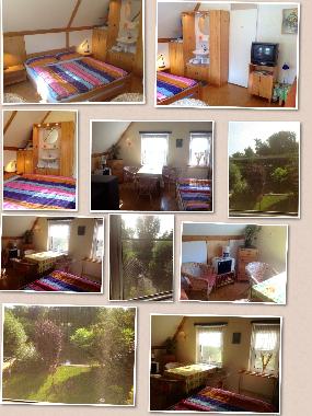 Bed and Breakfast in medemblik (Noord-Holland) or holiday homes and vacation rentals