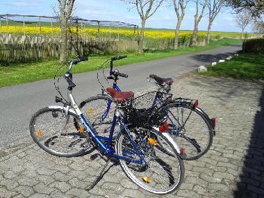 Holiday Apartment in Wangerland (Nordsee-Festland / Ostfriesland) or holiday homes and vacation rentals