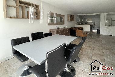 Holiday House in Katwijk aan Zee (Zuid-Holland) or holiday homes and vacation rentals