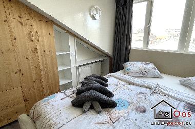 Holiday House in Katwijk aan Zee (Zuid-Holland) or holiday homes and vacation rentals
