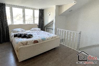 Holiday House in Katwijk aan Zee (Zuid-Holland) or holiday homes and vacation rentals