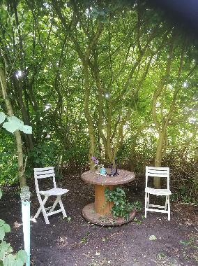 Holiday House in Rhauderfehn (Nordsee-Festland / Ostfriesland) or holiday homes and vacation rentals