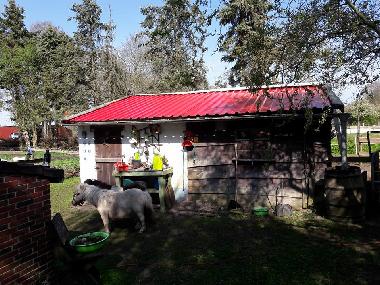 Holiday House in Rhauderfehn (Nordsee-Festland / Ostfriesland) or holiday homes and vacation rentals