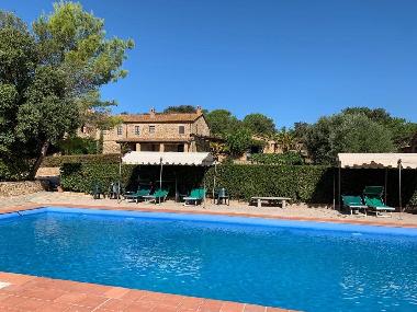 Hotel in Suvereto (Livorno) or holiday homes and vacation rentals