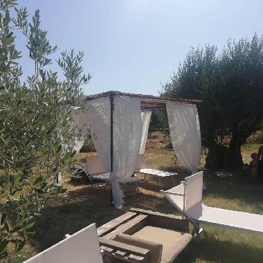 Hotel in Suvereto (Livorno) or holiday homes and vacation rentals