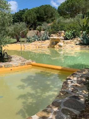Hotel in Suvereto (Livorno) or holiday homes and vacation rentals