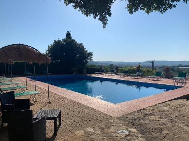 Hotel in Suvereto (Livorno) or holiday homes and vacation rentals
