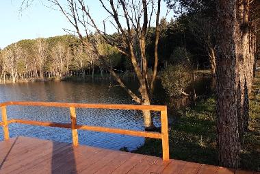 Hotel in Suvereto (Livorno) or holiday homes and vacation rentals