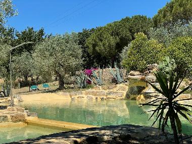Hotel in Suvereto (Livorno) or holiday homes and vacation rentals