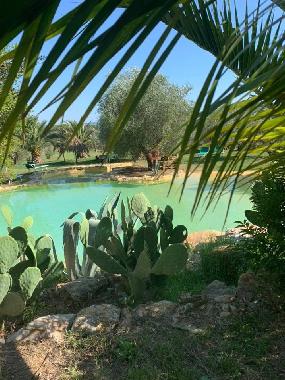 Hotel in Suvereto (Livorno) or holiday homes and vacation rentals