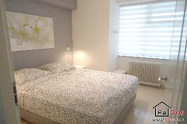 Holiday Apartment in Noordwijk aan Zee (Zuid-Holland) or holiday homes and vacation rentals