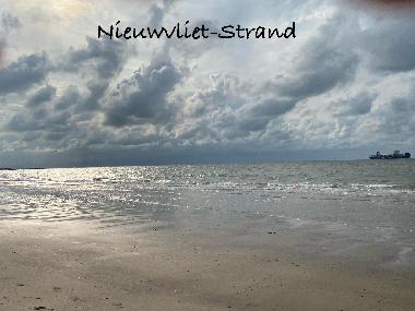 Holiday House in Nieuwvliet-Bad (Zeeland) or holiday homes and vacation rentals