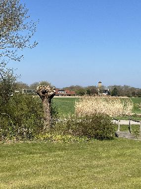 Holiday Apartment in Domburg (Zeeland) or holiday homes and vacation rentals